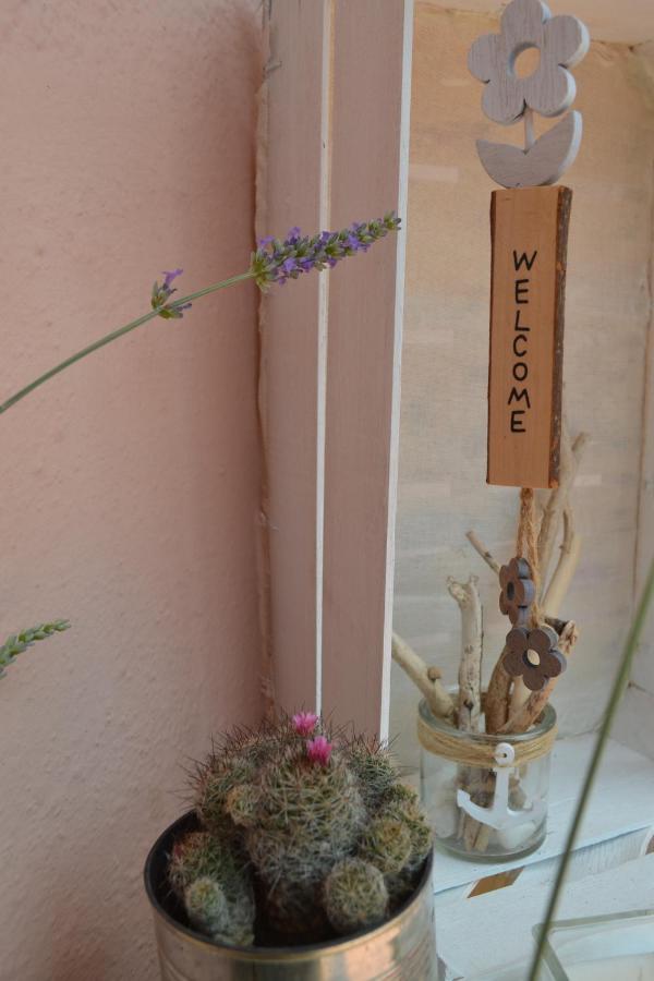 Into The Wild Green B&B Alghero Bagian luar foto