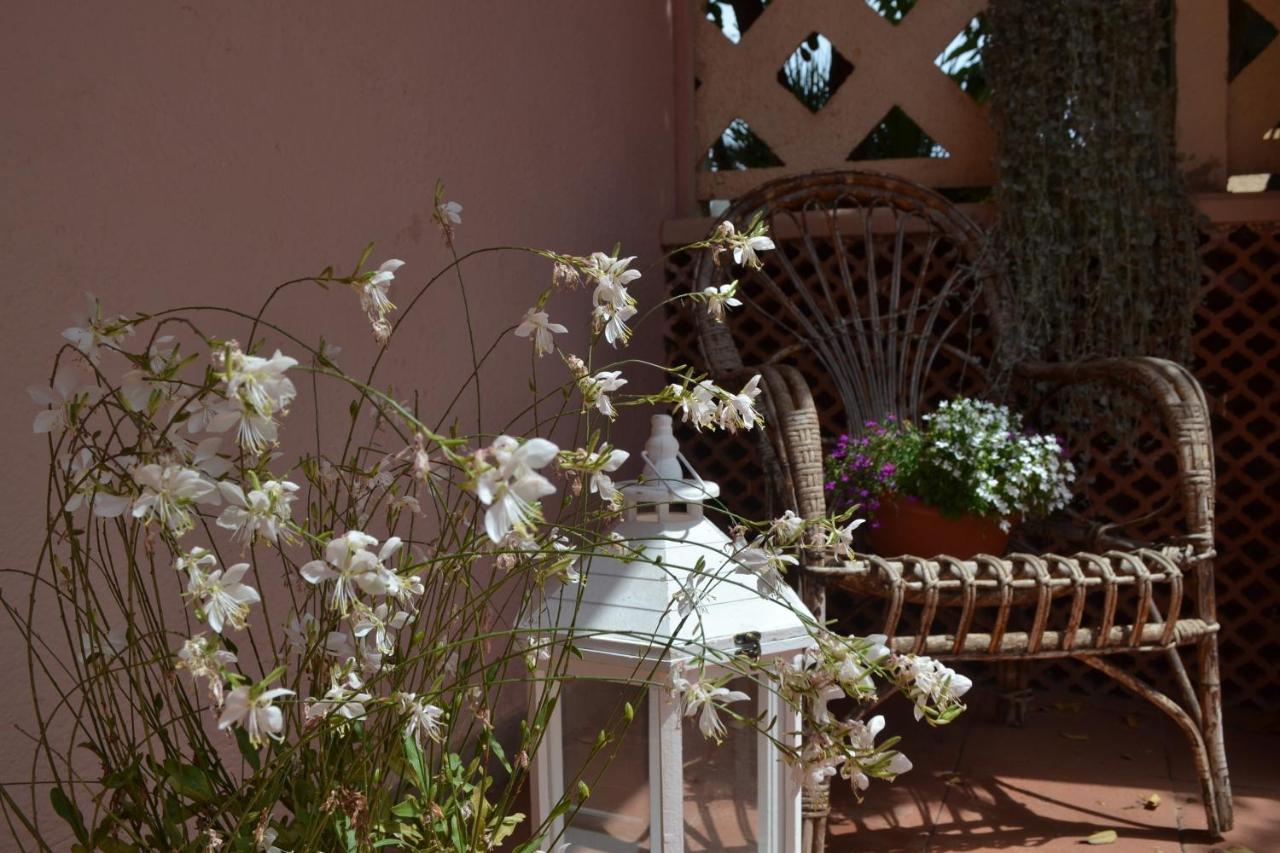 Into The Wild Green B&B Alghero Bagian luar foto