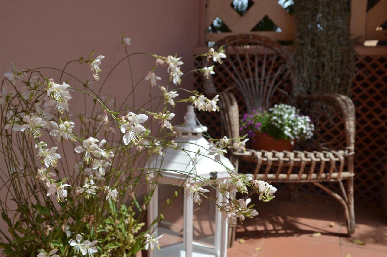 Into The Wild Green B&B Alghero Bagian luar foto