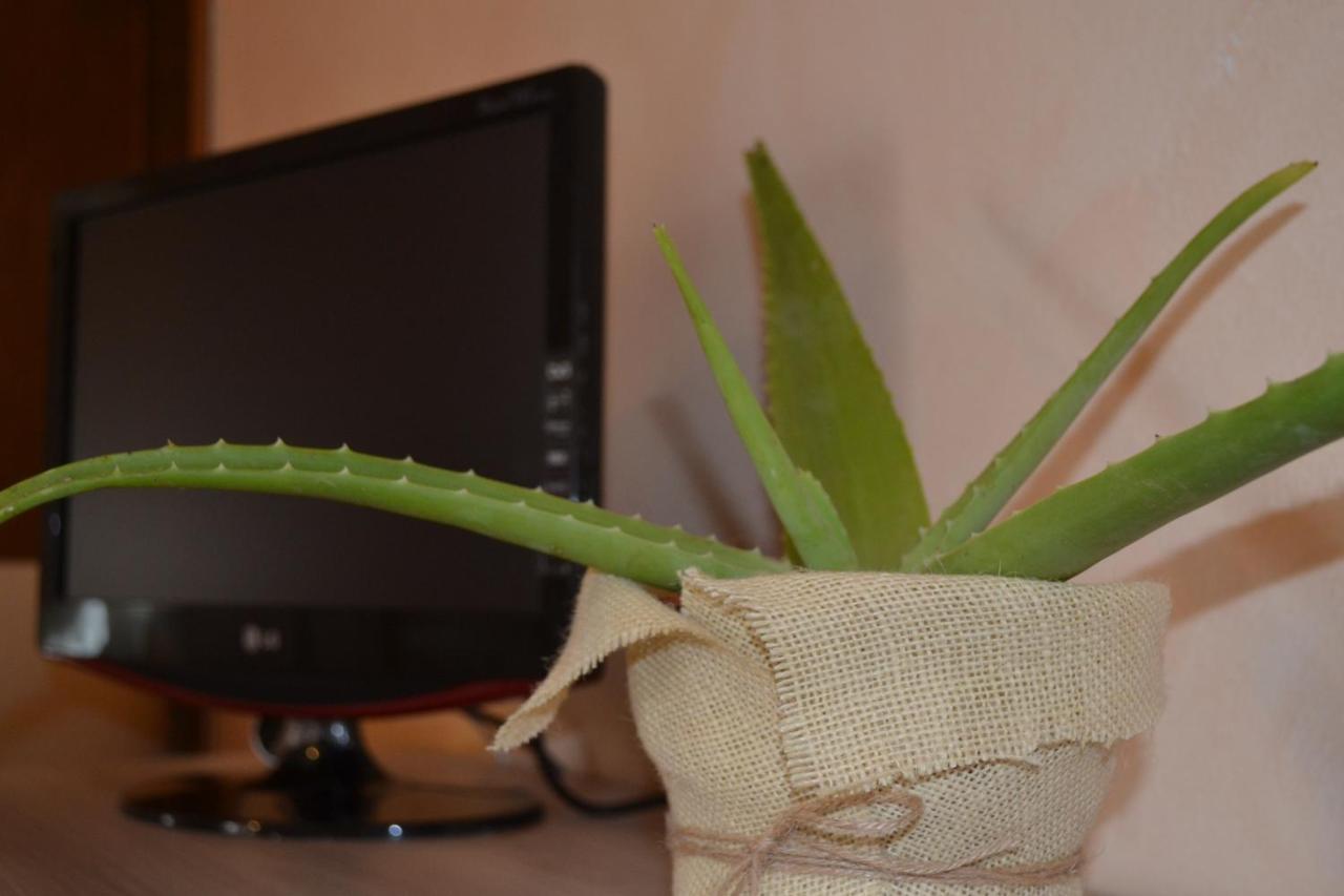 Into The Wild Green B&B Alghero Bagian luar foto